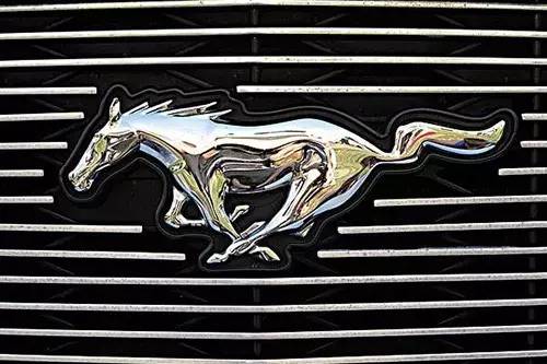 車(chē)標(biāo)上的動(dòng)物都是啥來(lái)頭？看完又能出去裝X了